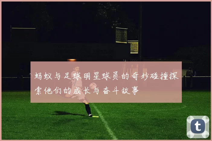 蚂蚁与足球明星球员的奇妙碰撞探索他们的成长与奋斗故事