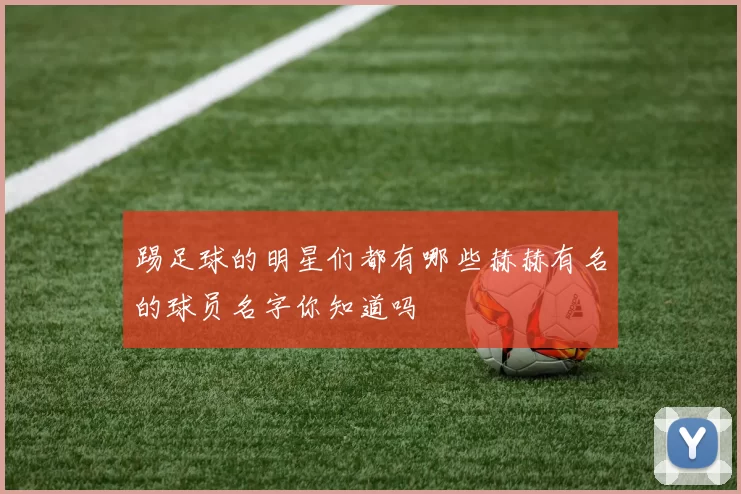 踢足球的明星们都有哪些赫赫有名的球员名字你知道吗