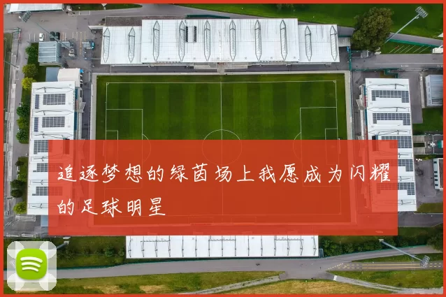 追逐梦想的绿茵场上我愿成为闪耀的足球明星