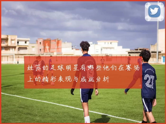 姓苏的足球明星有哪些他们在赛场上的精彩表现与成就分析