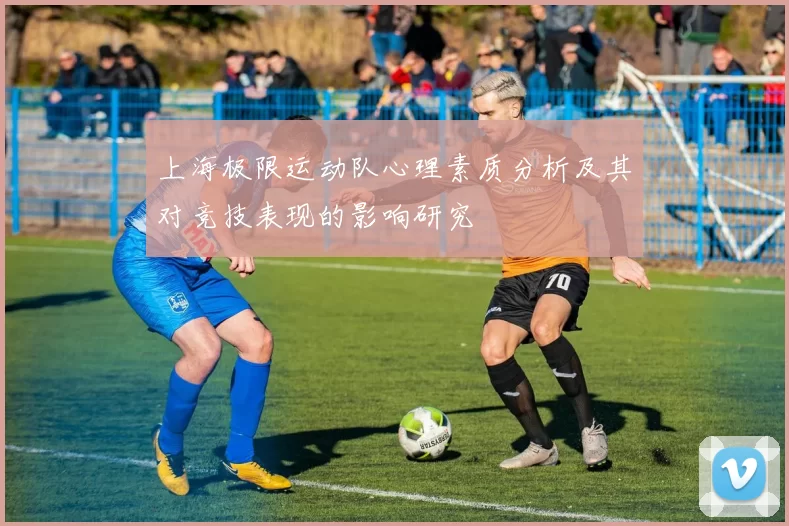 上海极限运动队心理素质分析及其对竞技表现的影响研究