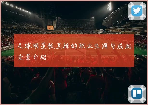 足球明星张呈栋的职业生涯与成就全景介绍