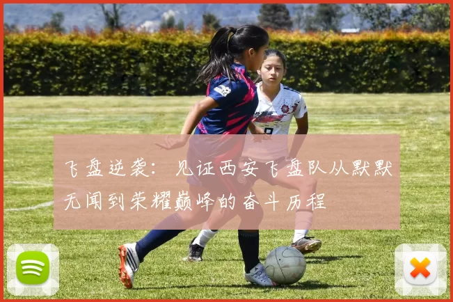 飞盘逆袭：见证西安飞盘队从默默无闻到荣耀巅峰的奋斗历程