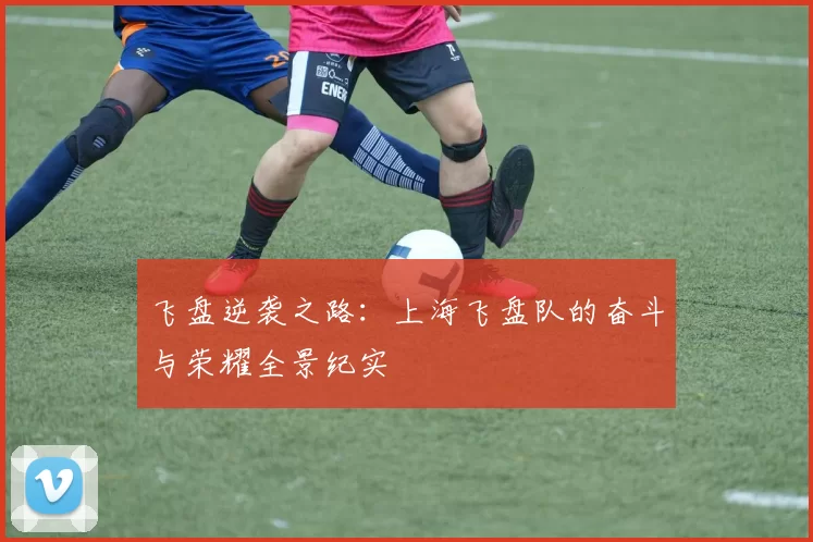 飞盘逆袭之路：上海飞盘队的奋斗与荣耀全景纪实