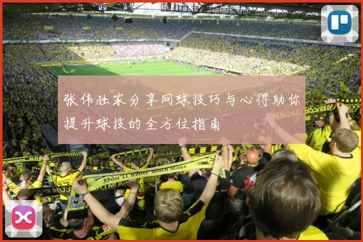 张伟独家分享网球技巧与心得助你提升球技的全方位指南