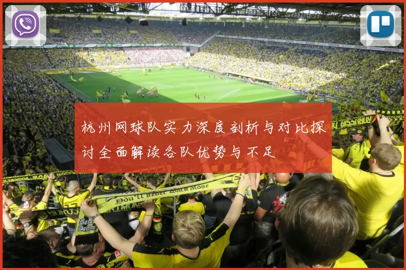 杭州网球队实力深度剖析与对比探讨全面解读各队优势与不足