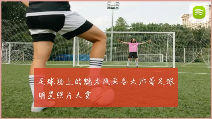 足球场上的魅力风采各大帅哥足球明星照片大赏