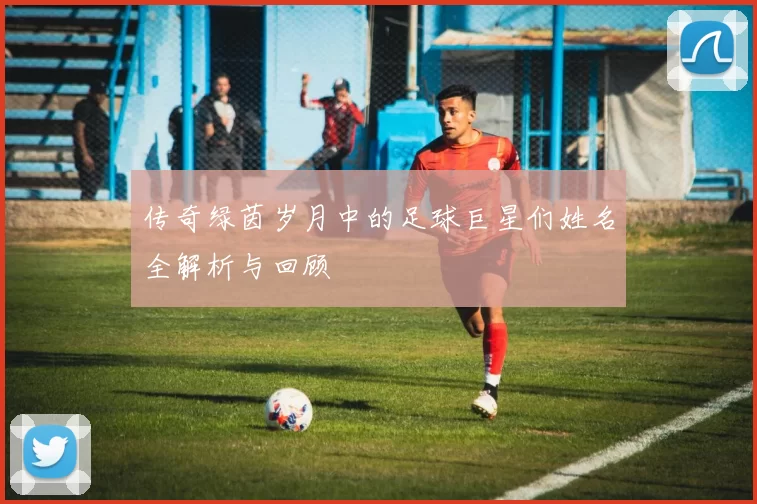 传奇绿茵岁月中的足球巨星们姓名全解析与回顾