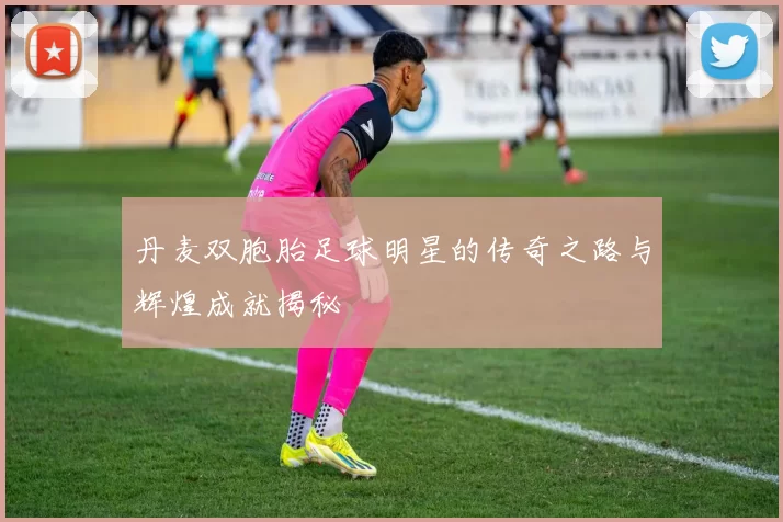 丹麦双胞胎足球明星的传奇之路与辉煌成就揭秘