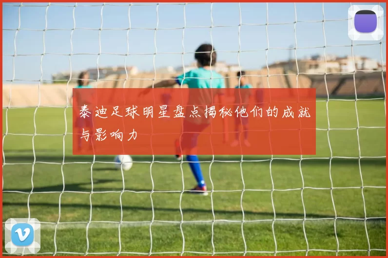 泰迪足球明星盘点揭秘他们的成就与影响力