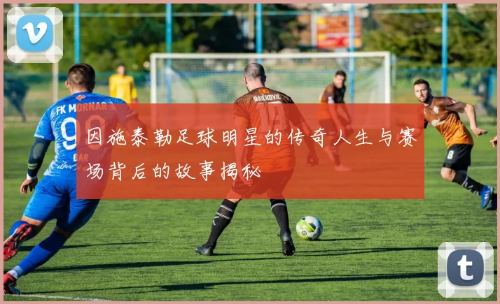 因施泰勒足球明星的传奇人生与赛场背后的故事揭秘