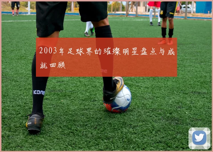 2003年足球界的璀璨明星盘点与成就回顾