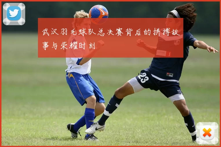 武汉羽毛球队总决赛背后的拼搏故事与荣耀时刻