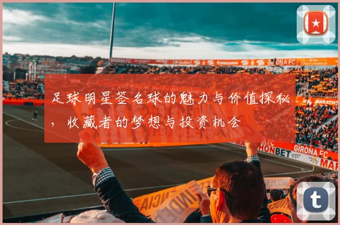 足球明星签名球的魅力与价值探秘，收藏者的梦想与投资机会