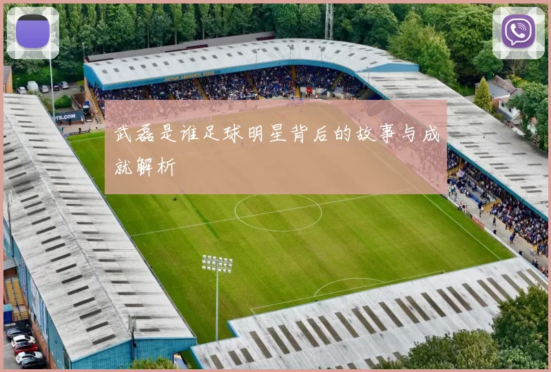 武磊是谁足球明星背后的故事与成就解析