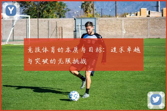 竞技体育的本质与目标：追求卓越与突破的无限挑战