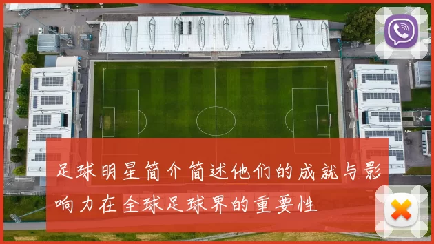 足球明星简介简述他们的成就与影响力在全球足球界的重要性