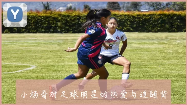 小杨哥对足球明星的热爱与追随背后的故事与情感分析