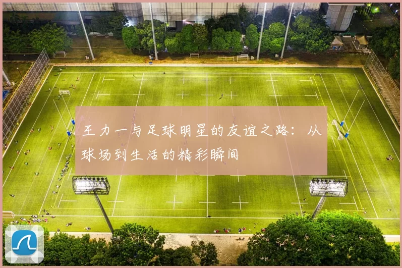 王力一与足球明星的友谊之路：从球场到生活的精彩瞬间
