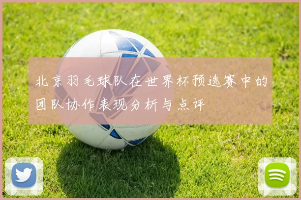 北京羽毛球队在世界杯预选赛中的团队协作表现分析与点评
