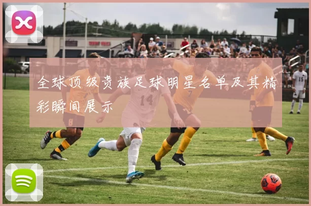 全球顶级贵族足球明星名单及其精彩瞬间展示