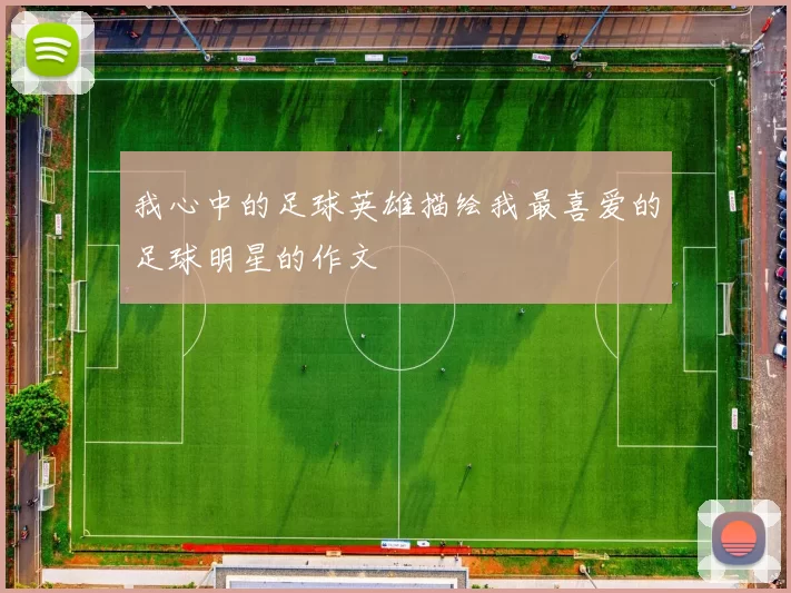 我心中的足球英雄描绘我最喜爱的足球明星的作文