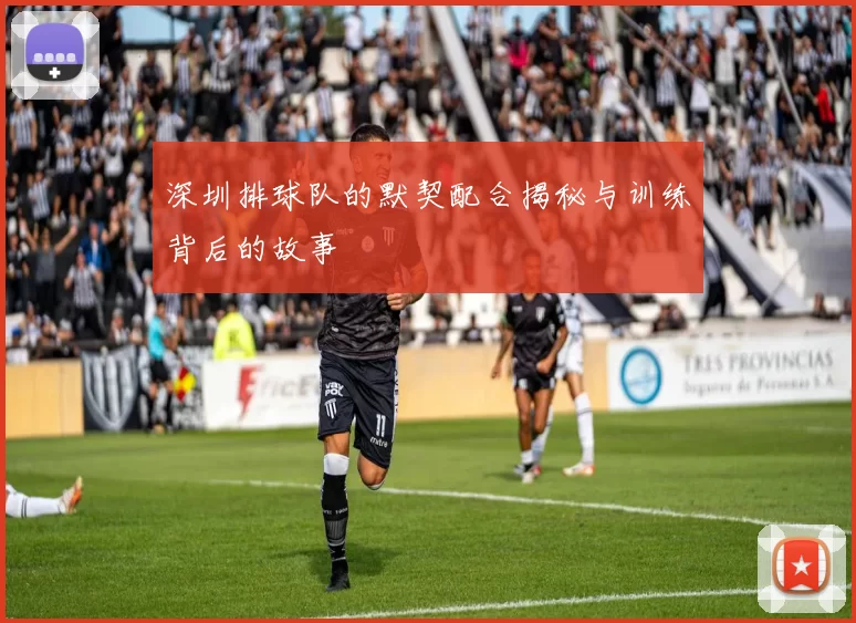 深圳排球队的默契配合揭秘与训练背后的故事