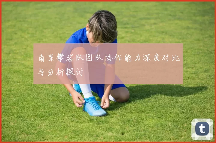 南京攀岩队团队协作能力深度对比与分析探讨