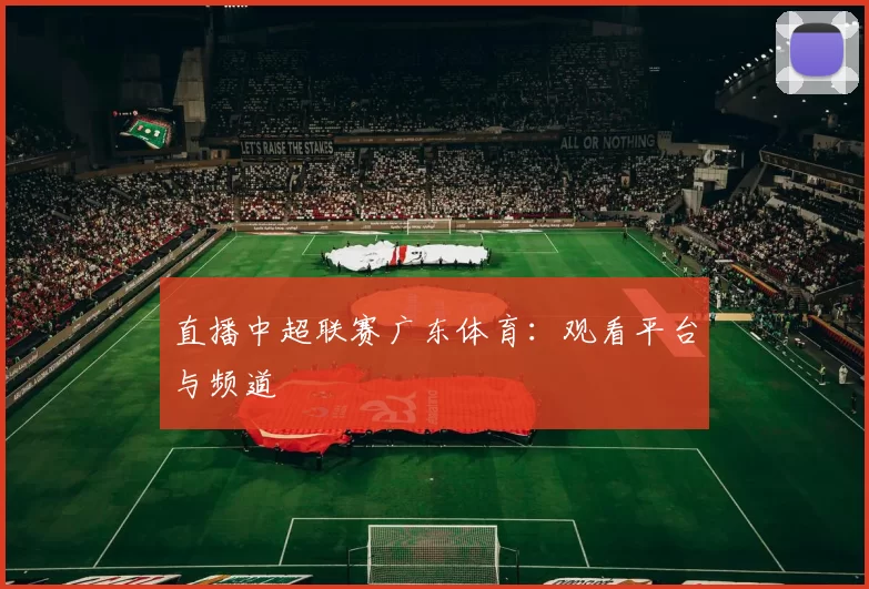 直播中超联赛广东体育：观看平台与频道