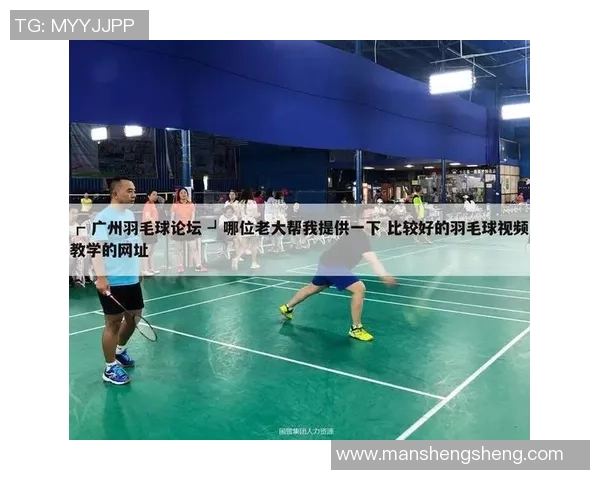 北京羽毛球队技术分析与发展探讨聚焦羽毛球竞技新趋势