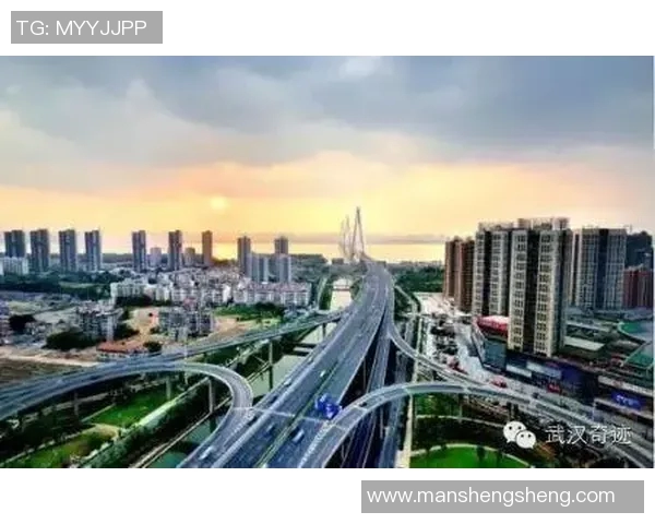 武汉乒乓球队实力分析与发展潜力的深度探讨与展望